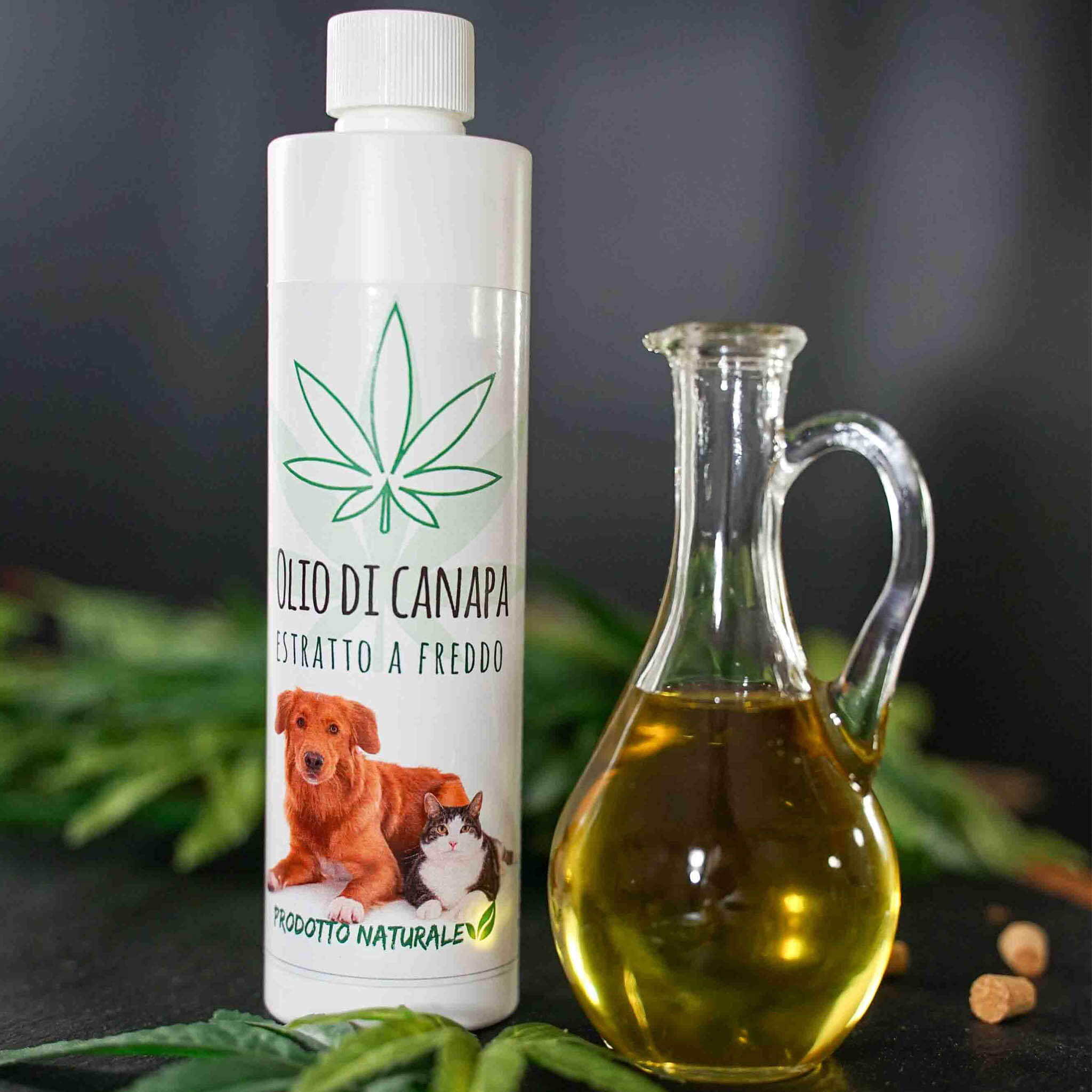 olio di canapa per cani