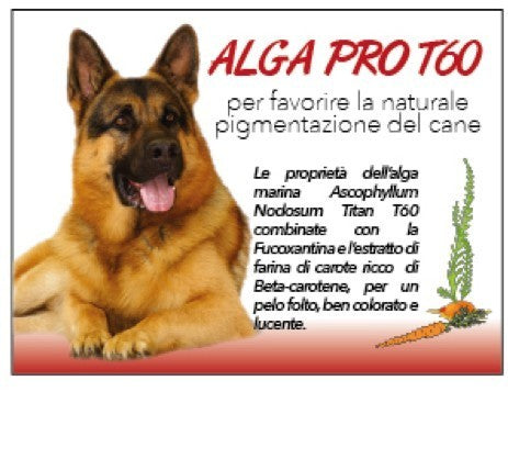 Alga-Pro T60