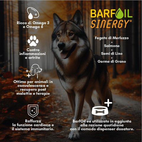 Barf Oil Sinergy