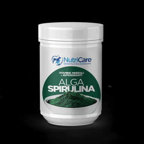Alga spirulina in polvere