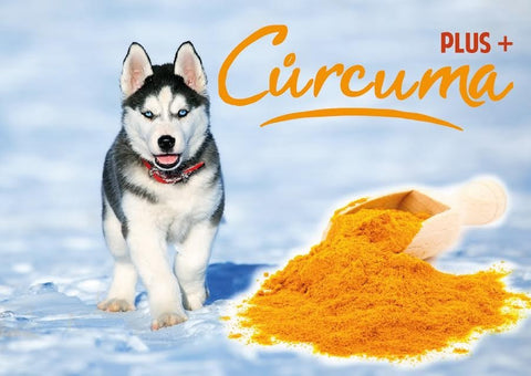 Curcuma+