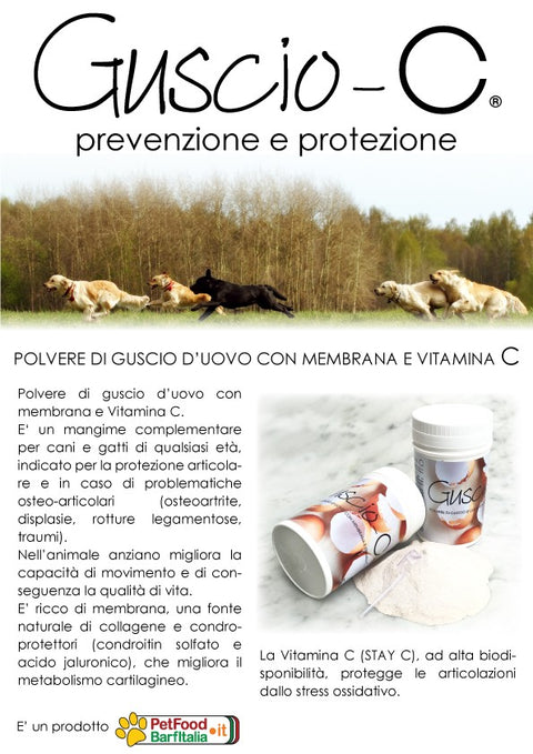 Guscio C