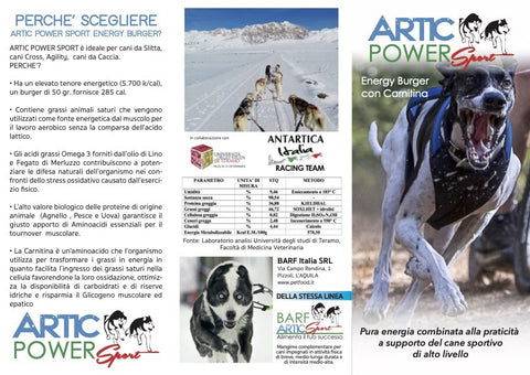 Artic Power Burger