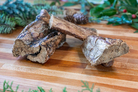 Polmoni essiccati