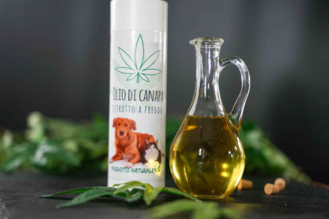 Olio di canapa
