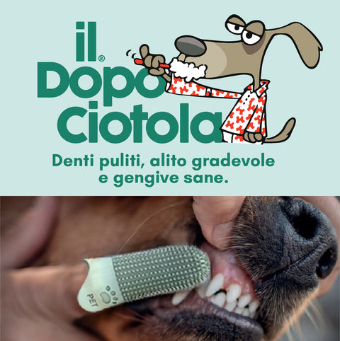 Il Dopo Ciotola