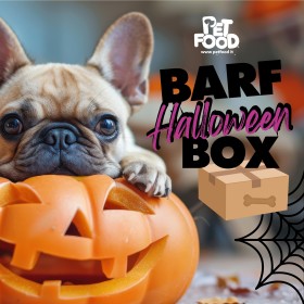 Box Halloween