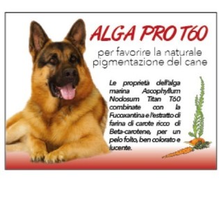 ALGA-PRO T 60