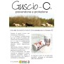 Guscio C