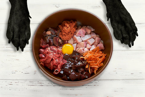 Cos'è la dieta BARF: guida completa all’alimentazione naturale
