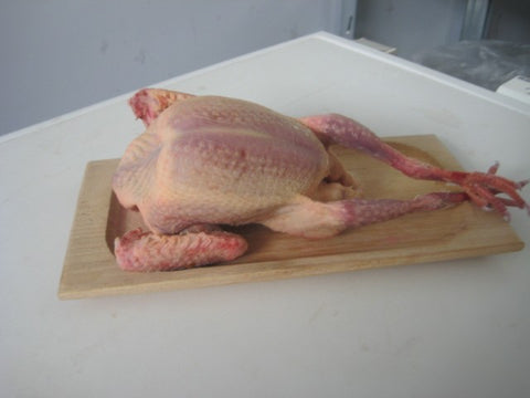 Piccioncino intero