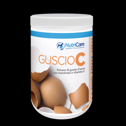 Guscio C