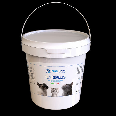 Cat salus