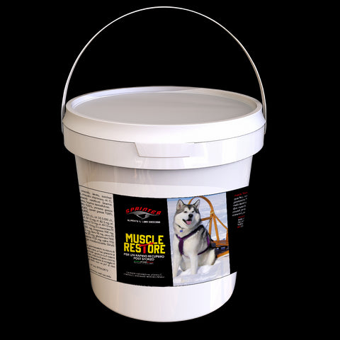 Dog muscle restore
