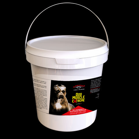 Dog muscle extreme