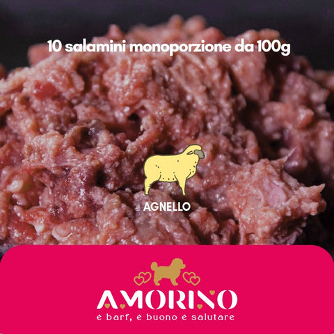 AMORINO Agnello