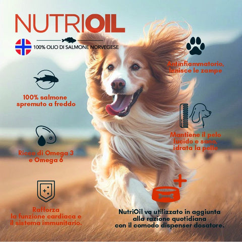Olio di salmone Nutri-Oil cani