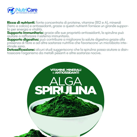 Alga spirulina in polvere