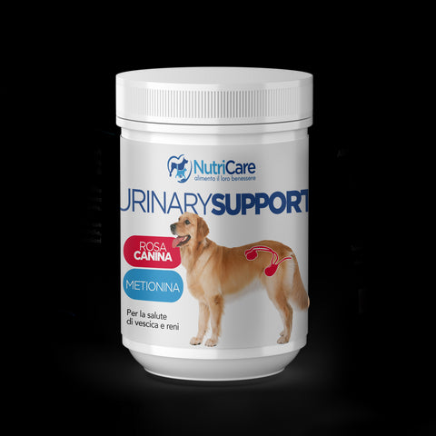Urinary support