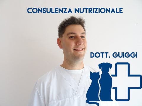 Consulenza + Formulazione dieta - Dott. Guiggi