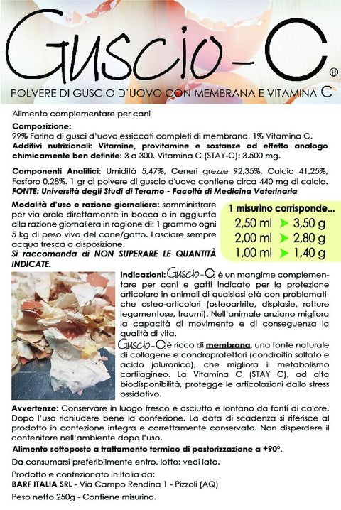 Guscio C