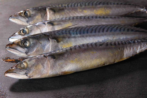 Sgombri