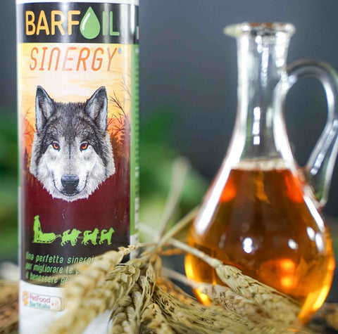 Barf Oil Sinergy