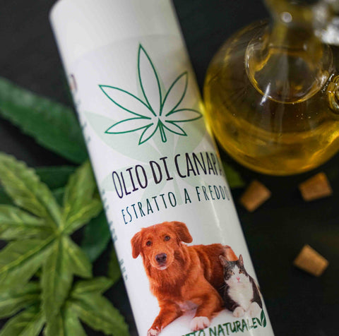 Olio di canapa