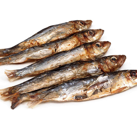 Alici essiccate, alimento naturale disidratato per cani e gatti, perfetto come snack o premio educativo.