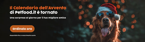 Calendario dell’Avvento per cani Petfood.it con cane natalizio e testo promozionale. Prodotto di Barf Italia