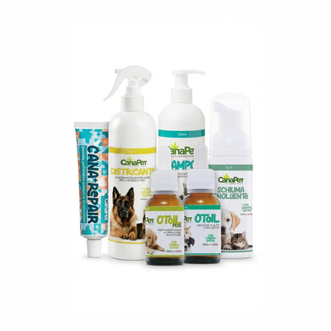 Hygiene and Cleaning