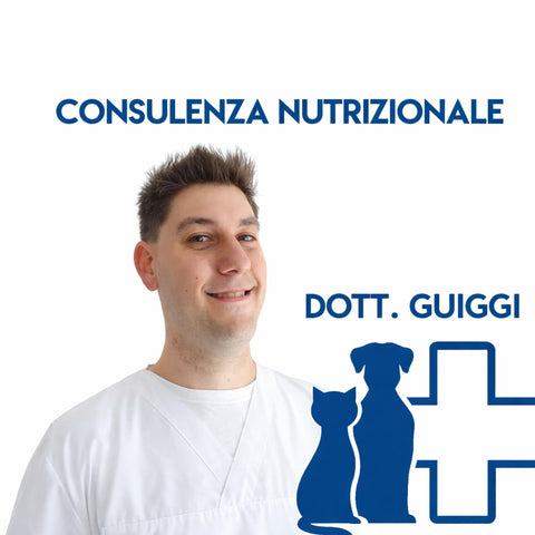 Consulenza + Formulazione dieta - Dott. Guiggi con immagine del dottore e silhouette di un cane e un gatto.