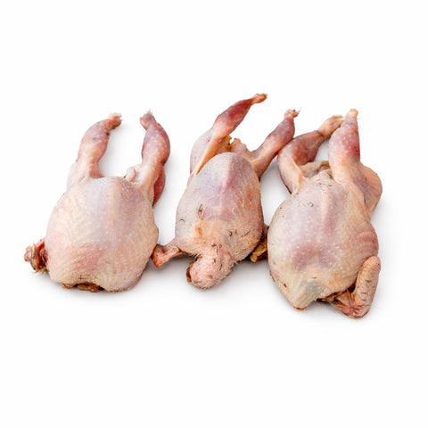 Quaglie intere fresche e pronte per l'alimentazione dei tuoi animali domestici