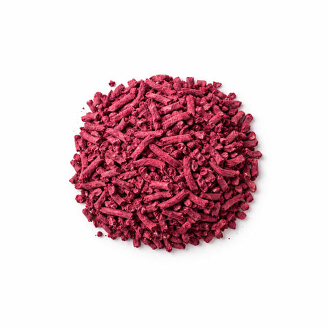 Rapa rossa disidratata in polvere salutare per animali domestici, ricca di antiossidanti e nutrienti.