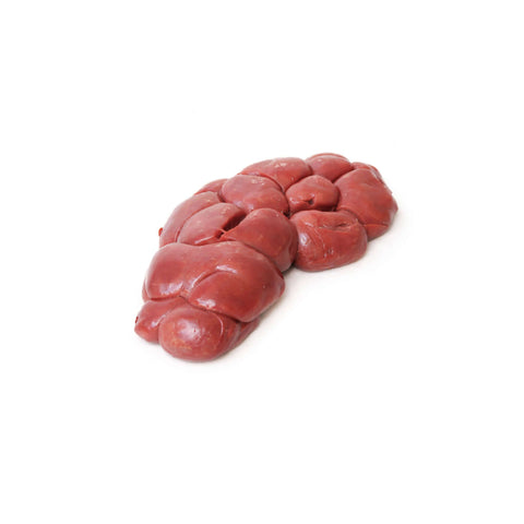 Rene di manzo, organo nutritivo per cani, ricco di proteine e amminoacidi essenziali.