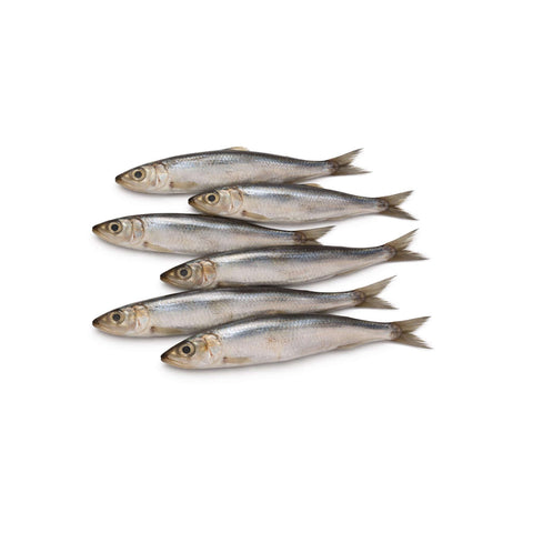 Sarde fresche disposte in fila, illustrando un alimento nutriente e ricco di omega-3 per la salute degli animali.