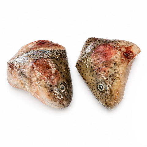 Teste di trota salmonata intere fresche, un alimento naturale e ricco di nutrienti per animali.