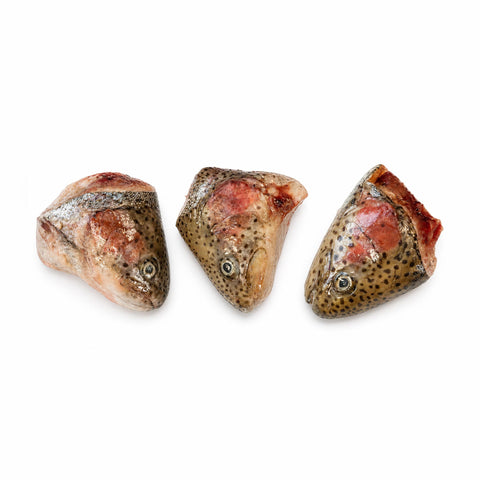 Teste di trota salmonata intere: tre teste di trota fresche, ideale per un'alimentazione sana del tuo animale.