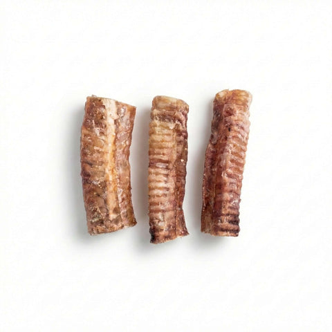 Trachee di manzo essiccate, snack naturale e sano per cani, gustose e sicure per la masticazione.