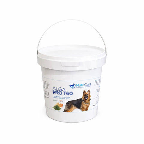 Alga-Pro T60