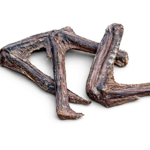 Ali di anatra essiccate, snack naturale per cani, disidratate a bassa temperatura, ricompensa golosa.