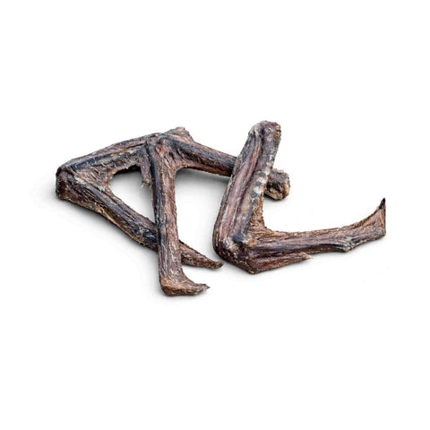 Ali di anatra essiccate, masticativi naturali per cani, snack nutrienti e gustosi.