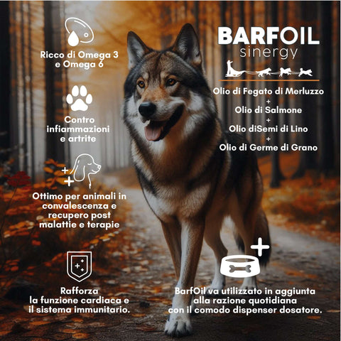 Barf oil synergy
