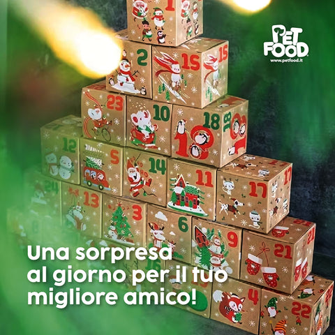 Calendario dell'Avvento