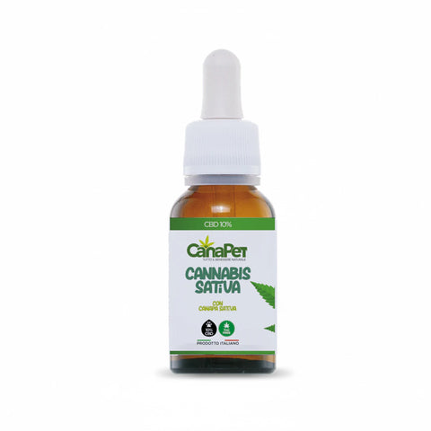 Cannabis Sativa Oil + CBD