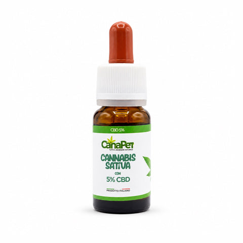 Olio di canapa sativa con CBD
