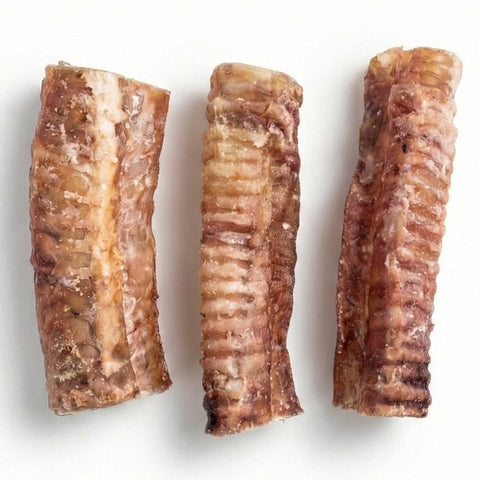 Trachee di manzo essiccate, snack naturale per cani, formato masticabili, ideale per tutte le taglie.