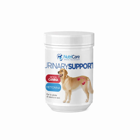 Urinary support 