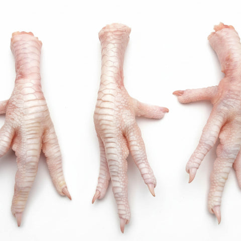 Zampe di pollo fresche